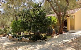 Villa Eleni - Studios