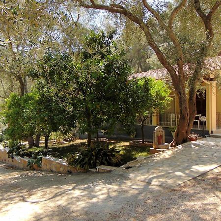 Villa Eleni - Studios Liapades Zewnętrze zdjęcie