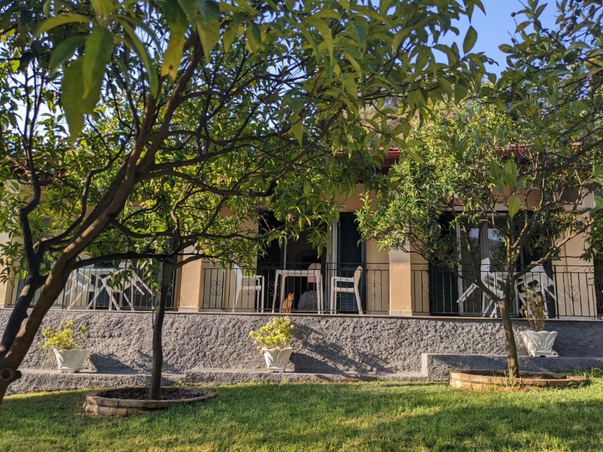 Villa Eleni - Studios Liapades Zewnętrze zdjęcie